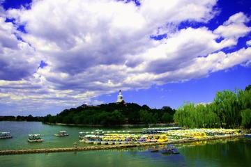 IMG_8880_