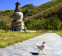 DSCN2837_