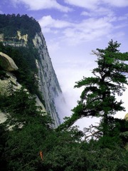 DSCN3536_