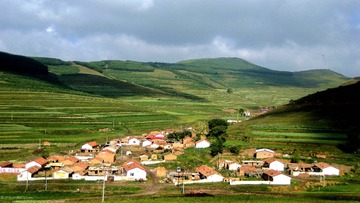 IMG_0035_
