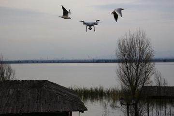 IMG_9871_