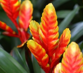 IMG_1279_