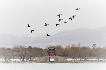 IMG_5048_3 (2)
