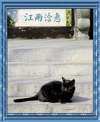 DSCN2421_