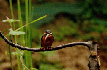 IMG_3041_