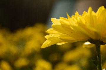 178f3e8ddf4b4854b95c38cb02360781