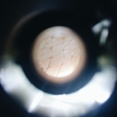 2016-08-20 05.02.59 1