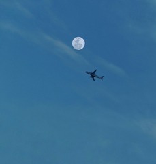 1274633