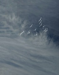 1315572