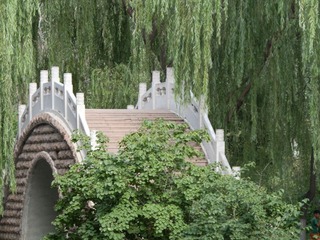 P7191663