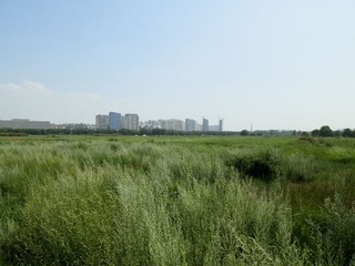 P8021786