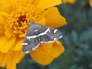 P9242003