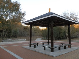 PB022735