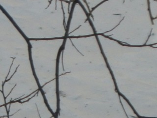 496649