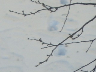 496647