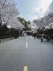 937032FC-057B-4C26-A646-F427E407EFEC/L0/001