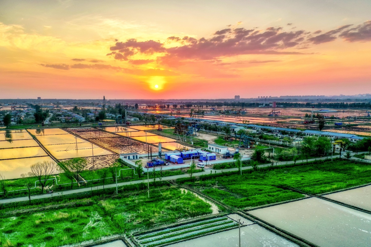 辽宁盘锦辽河油田金海采油厂的风光