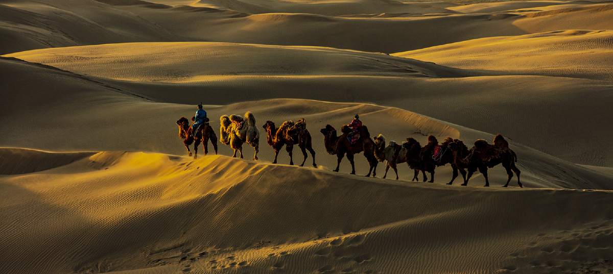 内蒙古通辽市奈曼旗宝古图沙漠