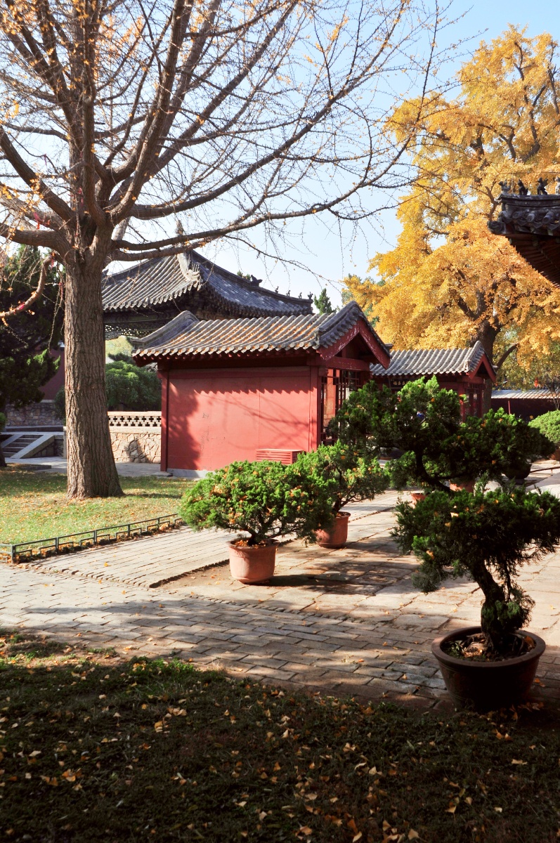 岱庙时光61已然远去的秋天