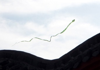 268099