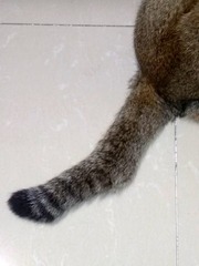 8157