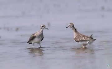 IMG_9792X