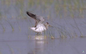 IMG_2212X