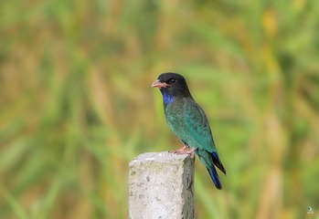 IMG_5597X