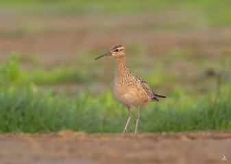 IMG_2823X