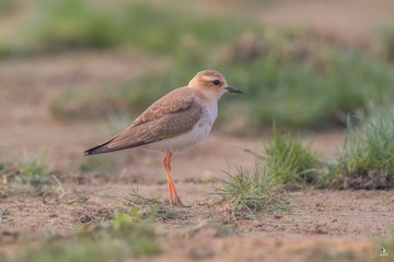 IMG_3834X