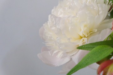 1E22C3F9-EE24-4888-88BE-D1F9A982E8C9/L0/001