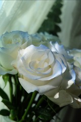 0C6EB0F8-6D14-4D6D-BD81-024A5829836F/L0/001