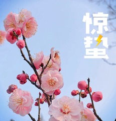 4449D66D-BCFF-4AD5-A2B1-FC65ACDA81F8/L0/001