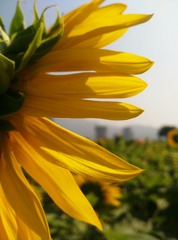 IMG_20160925_095543