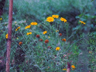 LRM_EXPORT_20200502_102442