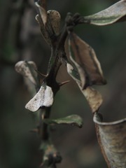 p1010465