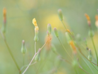 p1010474