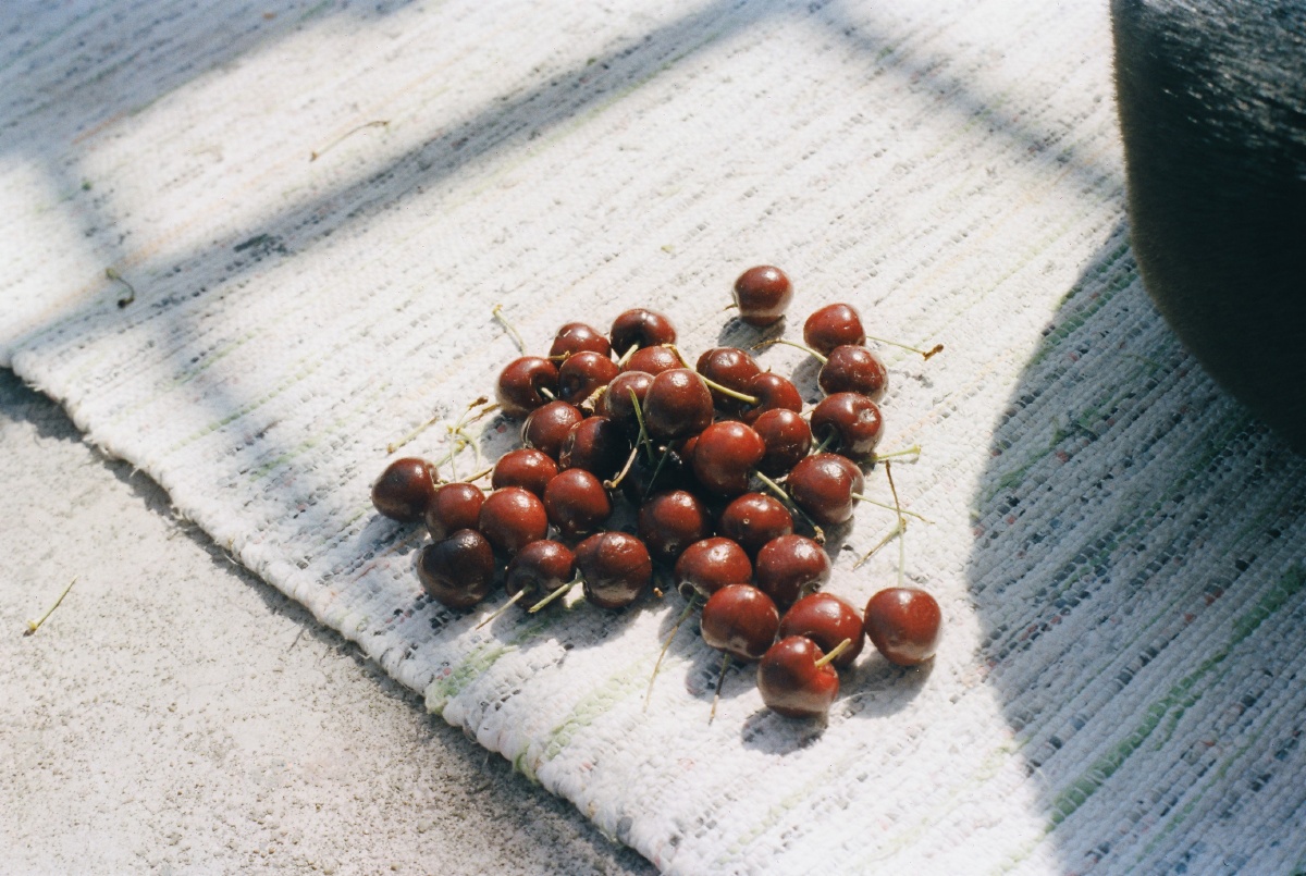 普通彩色胶卷黑白胶卷电影卷冲洗扫描tb老帆达胶卷工作室春田花花的