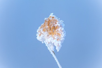 E3AB06C0-F8E3-4C7B-9519-43C780A8F043/L0/001