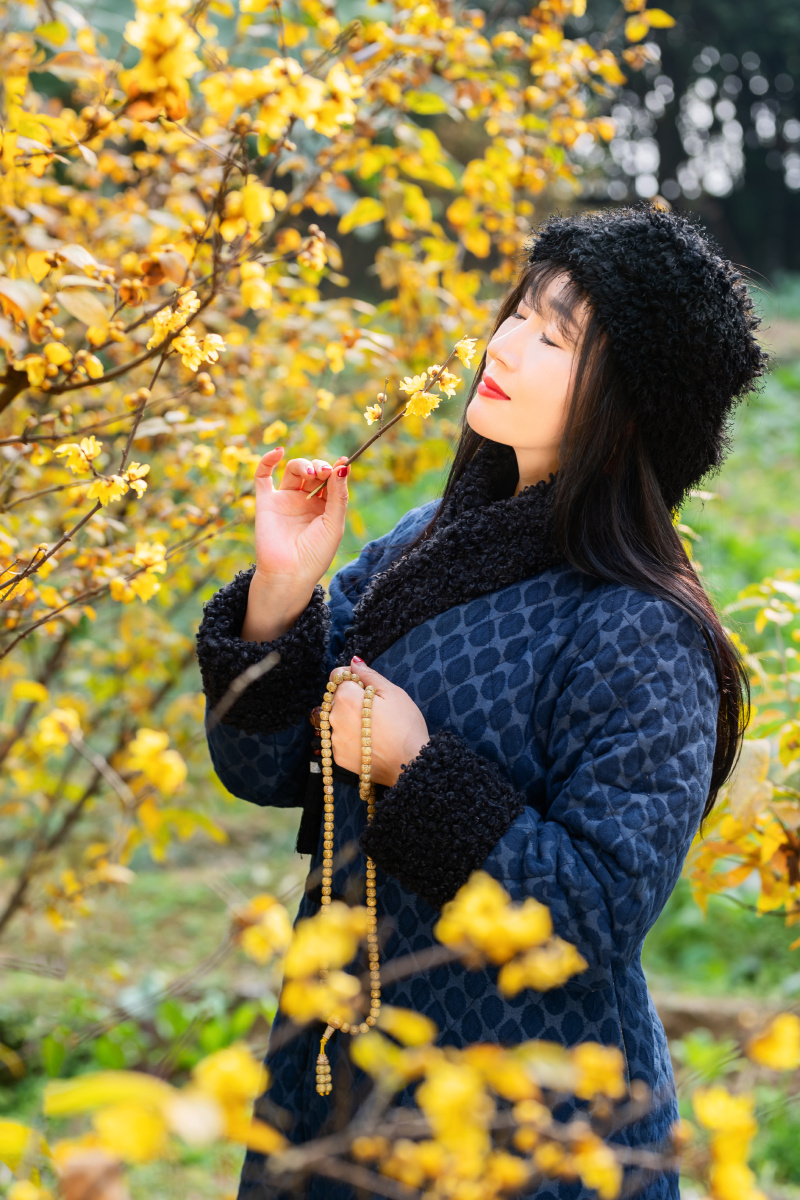 梅花香自苦寒来腊梅花人像