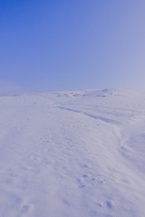 1000098516