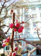 IMG_20160530_223318