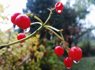 IMG_20160530_223627