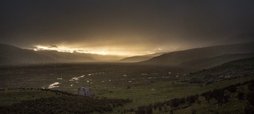 IMG_1290-02
