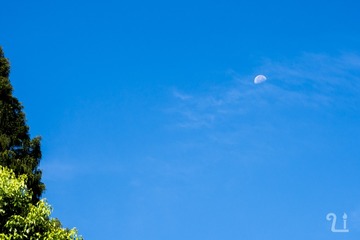 P8240008-1