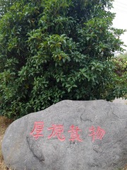1242109
