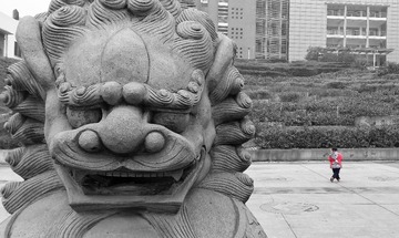 来不及和你合影，我依旧“茄子”