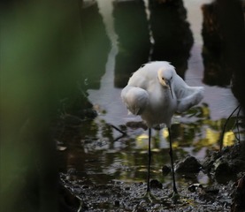 IMG_20160920_144344