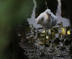 IMG_20160920_144317