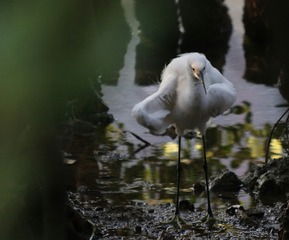 IMG_20160920_144400
